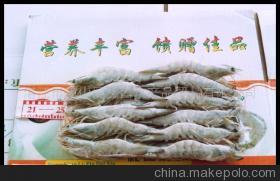 【南美對蝦(圖)】價(jià)格,廠家,圖片,蝦類,湛江市霞山區(qū)鑫昌水產(chǎn)品貿(mào)易-