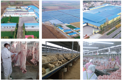 縣委書記李劍青深入康遠公司調(diào)研調(diào)度重點項目建設(shè)工作